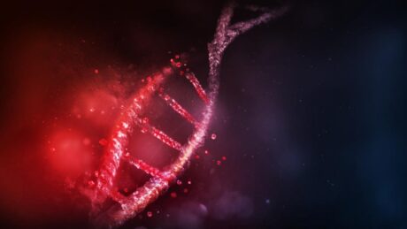 A fehérjék többet mesélnek az ősi emberről, mint a DNS valaha is fog