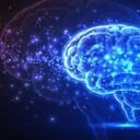 Az apró fehérje, amely széttépi az Alzheimer-kór gócait