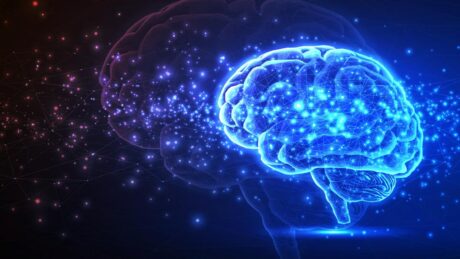 Az apró fehérje, amely széttépi az Alzheimer-kór gócait