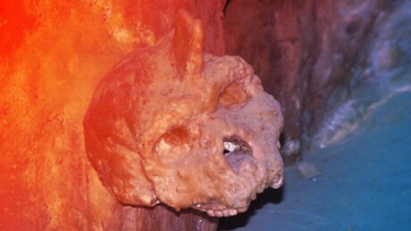 Az ősi görög barlangi koponya, amely se nem ember, se nem neandervölgyi