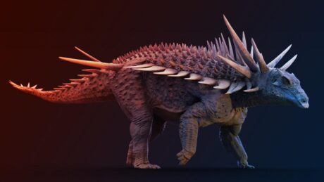 Ez a dinoszaurusz teljesen új színt vitt az ankyloszauruszok életébe