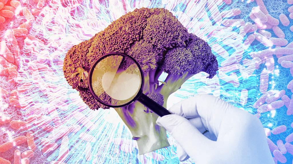 Mesterséges intelligencia segíthet a termékvisszahívásokban, vajon ez mindent megváltoztat?
