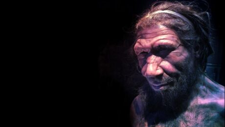 Neandervölgyi gének árulhatják el, miért tűntünk el