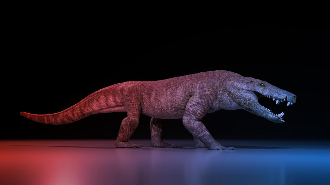 A dinoszauruszevő óriáskrokodil, akit egy egyiptomi istenről neveztek el
