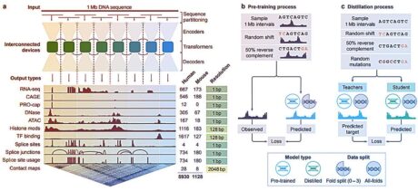 A hatalmas biológiai adatbázisok mostantól mesterséges intelligenciával dolgoznak