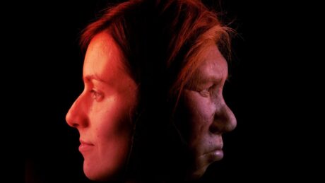 A különböző vörösvértestek is hozzájárulhattak a neandervölgyiek kihalásához