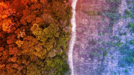 Az Amazonas védelmében: brazil siker a klímacsatában?