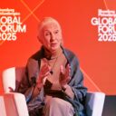 Az ember, aki megtanított minket tisztelni a csimpánzokat: Jane Goodall elhunyt