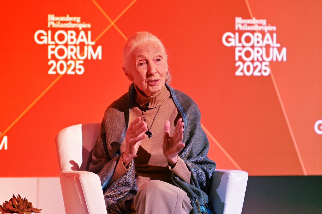 Az ember, aki megtanított minket tisztelni a csimpánzokat: Jane Goodall elhunyt