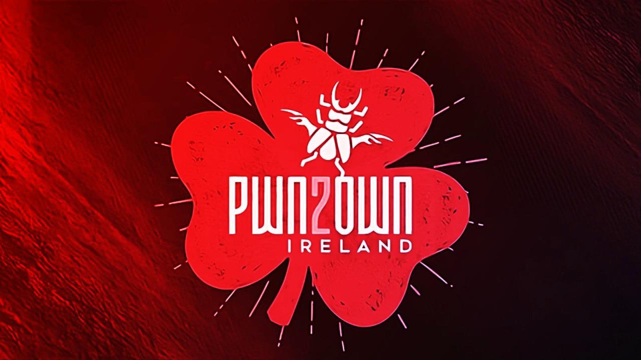 Az etikus hackerek több mint egymilliót kerestek Írországban