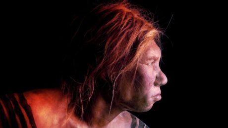 Az ólommérgezés lehetett a neandervölgyiek titkos fegyvere?