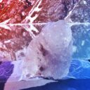 Az olvadó gleccserek veszélybe sodorhatják a tengeri élővilágot