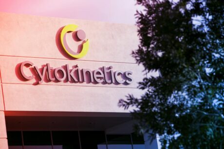 Az új szívgyógyszer körül forrnak az indulatok: Cytokinetics-láz a tőzsdén