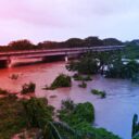 Az új veszély Jamaicán: a hurrikán után szabadon kóborolnak a krokodilok