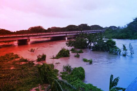 Az új veszély Jamaicán: a hurrikán után szabadon kóborolnak a krokodilok