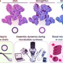 Az ultrahangos kezelés új hősei: a mikrobuborékok