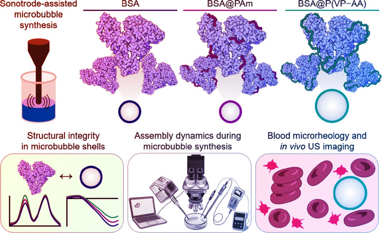 Az ultrahangos kezelés új hősei: a mikrobuborékok