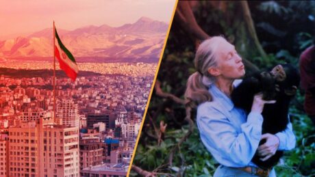 Elhunyt Jane Goodall, bőrből készült petesejt forradalmat hozhat