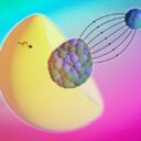 Végre beláthatunk az atommag belsejébe, forradalmi áttörést ért el az MIT