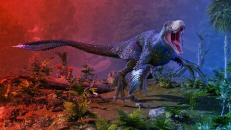 Virágzottak-e a dinoszauruszok a becsapódás előtt?