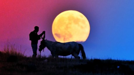 A hét tudományos szenzáció, amit nem érdemes kihagyni