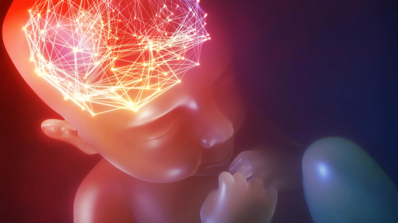 A klórpirifosz rejtett veszélyei, agykárosodást is okozhat