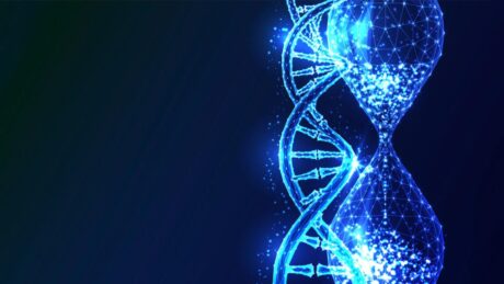 A százévesek génje segíthet megőrizni a gyerekek egészségét