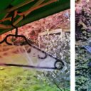 Az ál-pókhálók új forradalma, láthatatlan életet ejtenek el