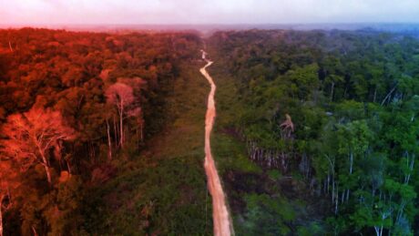 Az Amazonas védelme rekordcsökkenést hozott a brazil kibocsátásban