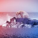 Az emberiség saját maga szabja meg a klímaváltozás végső határait