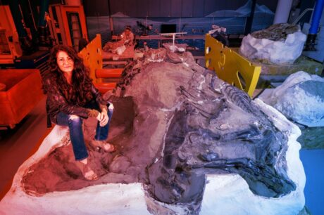 Az igazi T. rex unokatestvér a porondon: új dínó vagy csak tini?