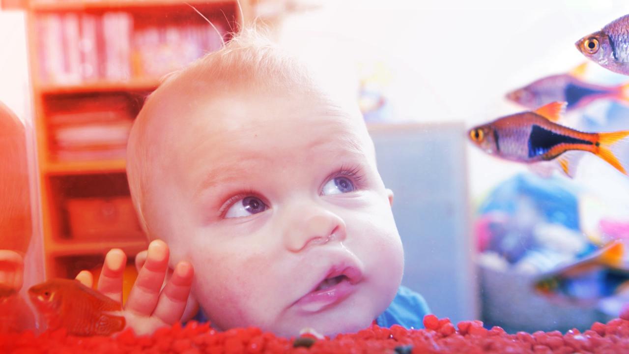 Az undok, halszagú baba esete: amikor az anyuka is csak csóválja a fejét