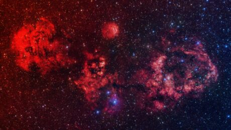 Az űrben vadászik a kozmikus denevér