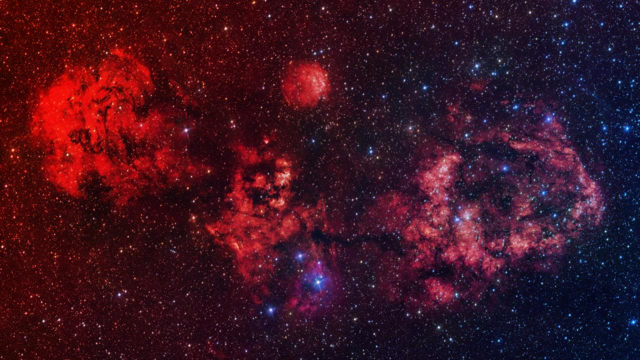 Az űrben vadászik a kozmikus denevér