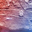 Dél-Afrikában bukkantak rá az első fenékhúzásos ősleletre