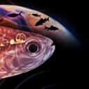 Egy ősi hal hallása meglepte a tudósokat