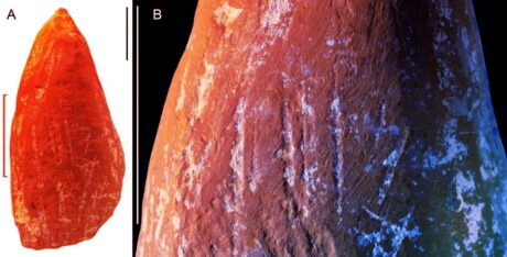 Ősi krími lelet szerint a neandervölgyiek is festegettek