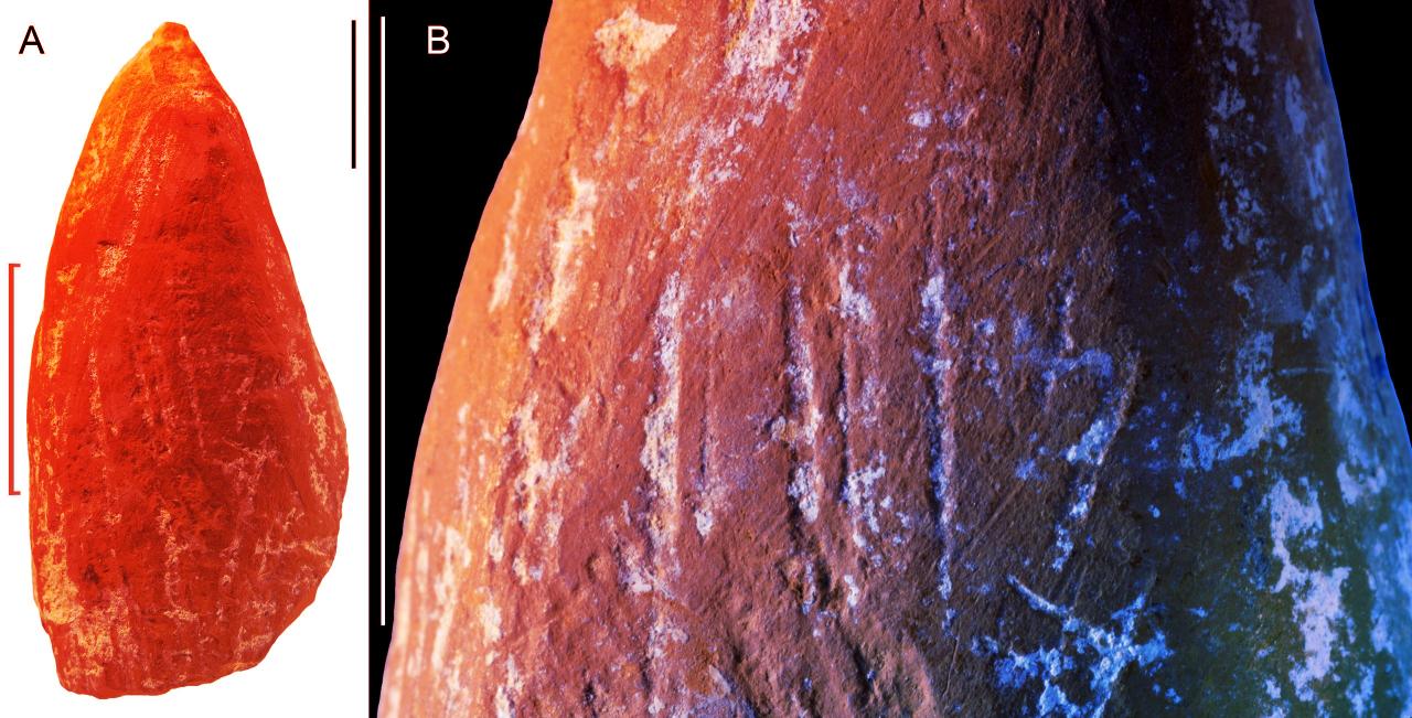 Ősi krími lelet szerint a neandervölgyiek is festegettek