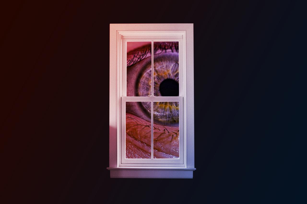 Az amerikai magánszféra válságban – hol maradnak az új törvények?