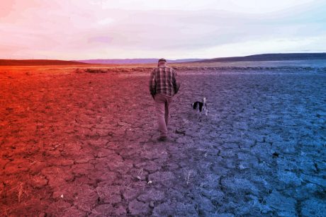 Az aszály történelmi rekordokat dönt az Egyesült Államokban