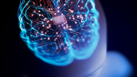 Az első adatközpont, ahol emberi agysejtek is számolnak