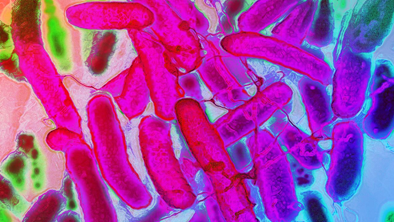A kávé tényleg rontja az antibiotikumok hatását? Meglepő új eredmények