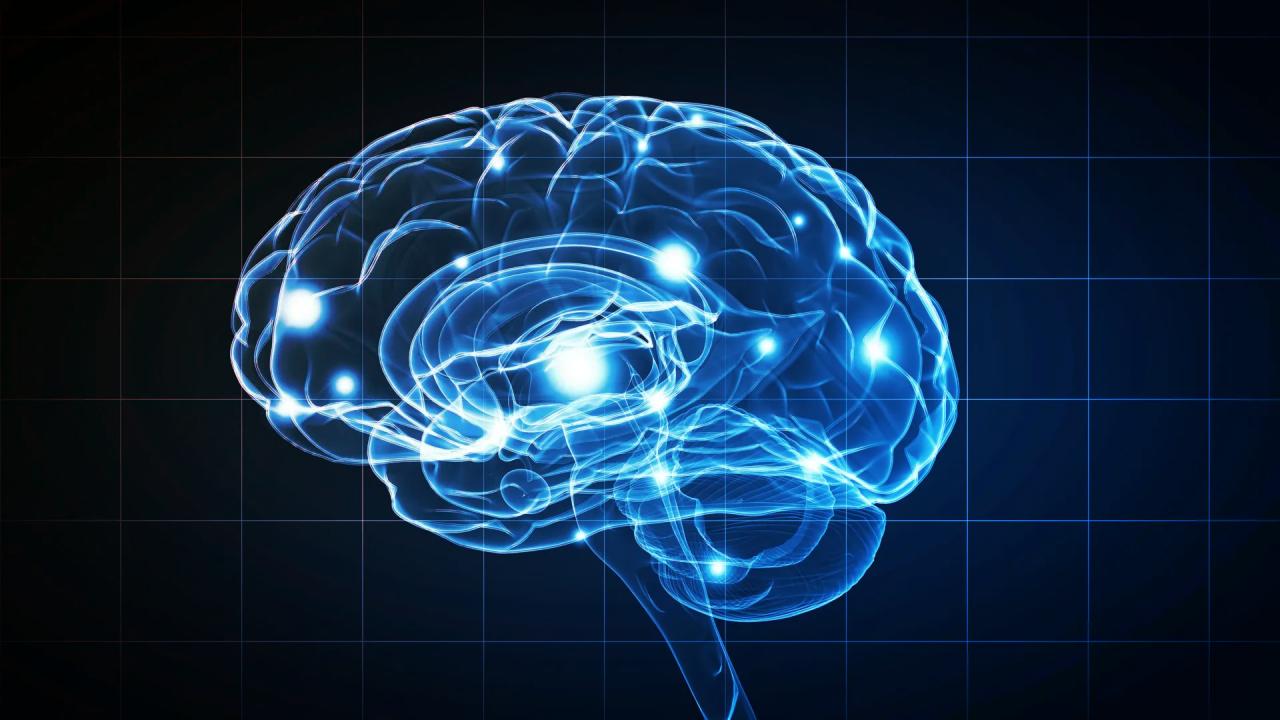 Az agy titkos védekező rendszere Alzheimer ellen