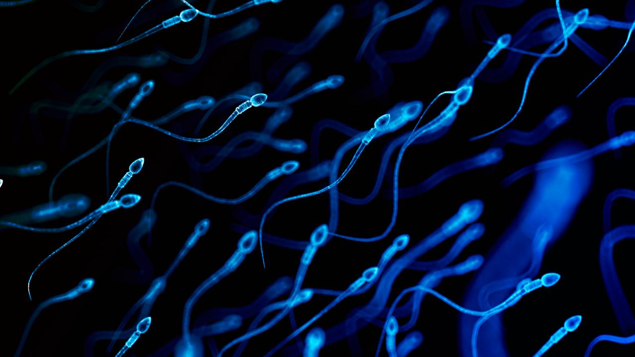 Az allergia, ami meddőséget okozhat: ritka esettel szembesültek
