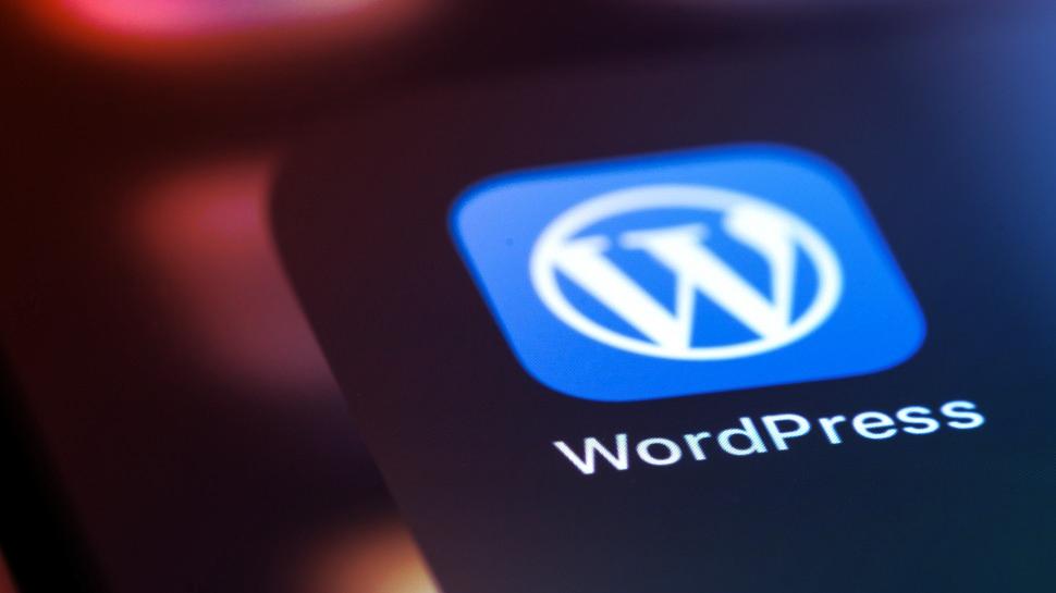 Az Alone Charity WordPress sebezhetősége: most mindenki pórul járhat