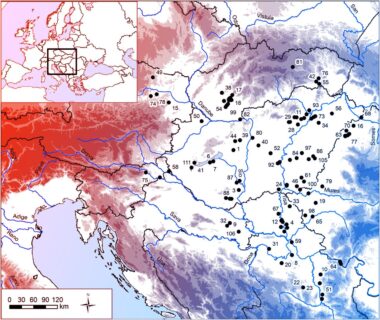 Az egyenlőtlenség mítosza a Kárpát-medence őstörténetében