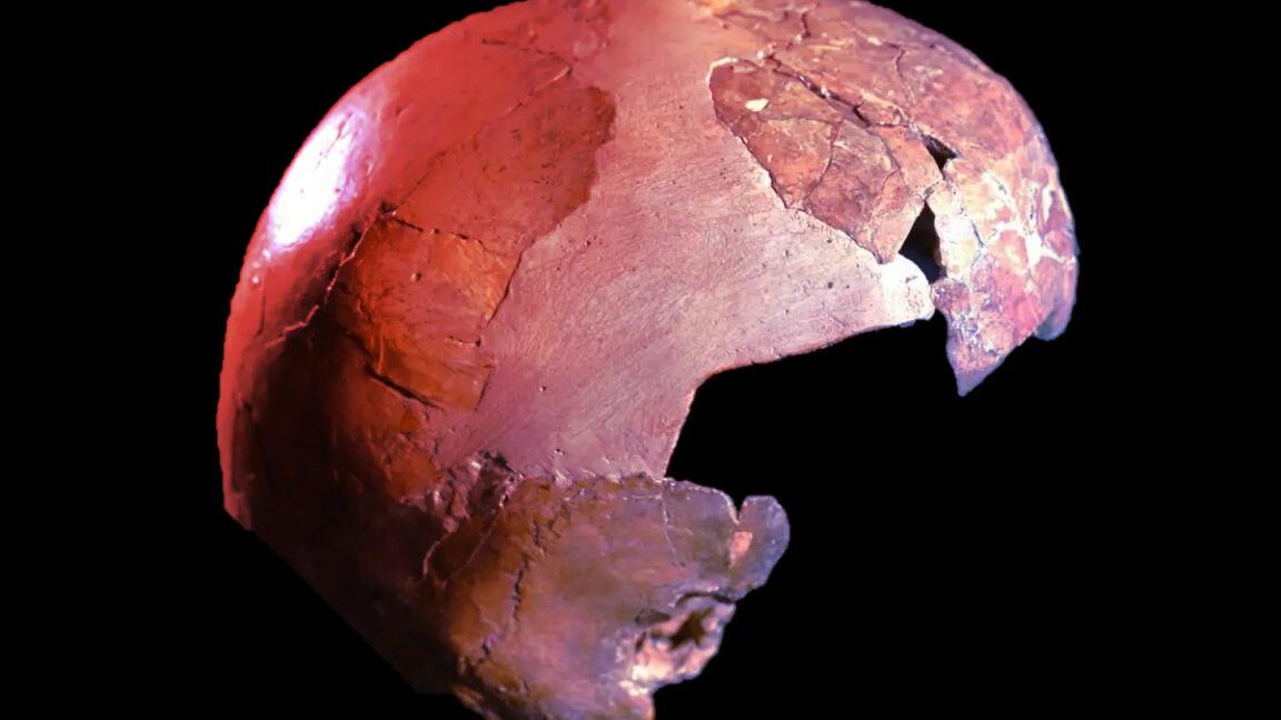 Az első ember–neandervölgyi gyerek: kőbe vésett titok