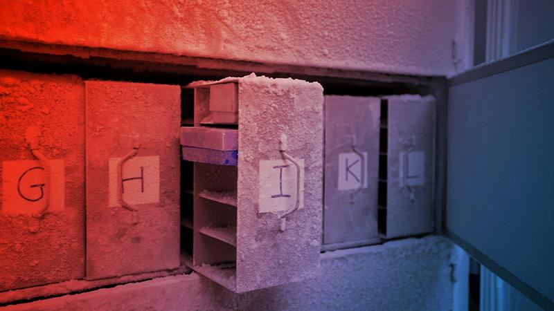 Az emberiséget megmentheti a svájci mikrobiom-bunker
