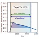 Az északi lápvidékek keresztbe tehetnek a klímavédelemnek
