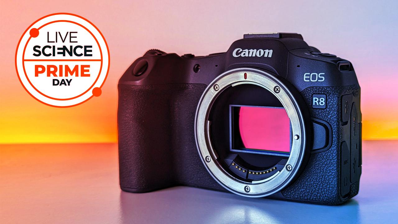 Az év legjobb Canon kamera akciói kezdőknek is
